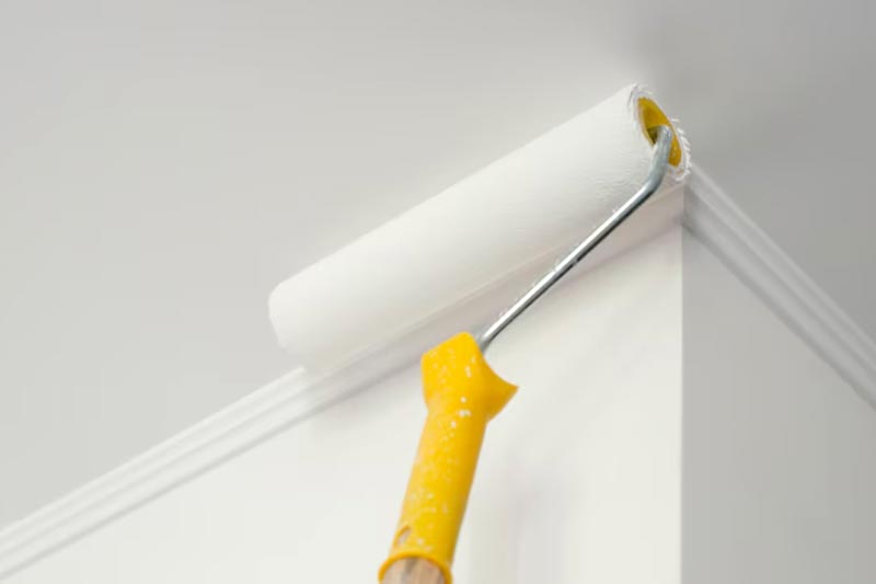 interior-ceiling-painting